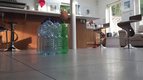 강아지 귀여운 짤 | 인스티즈