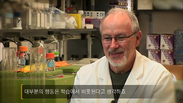 사람의 성격에 가장 많은 영향을 미치는 것 | 인스티즈