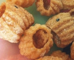 뇌도 없으면서 겁나 치밀하고 똑똑한 기생충놈들.jpg | 인스티즈