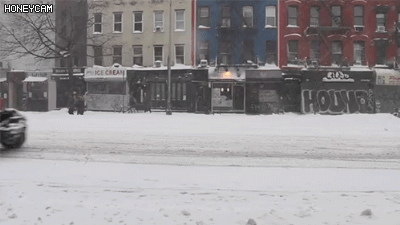 폭설에 대처하는 미국인 | 인스티즈