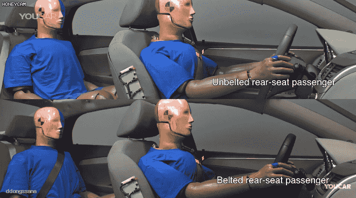 사고시 안전벨트 착용과 미착용 비교.gif | 인스티즈