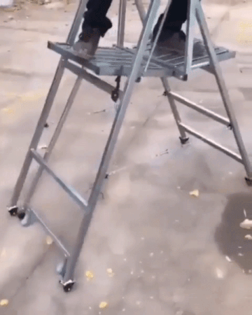 내려갈 필요가 없는 사다리 | 인스티즈