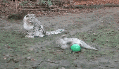 아들을 위해 참고있던 욕망이 폭발한 엄마.gif | 인스티즈