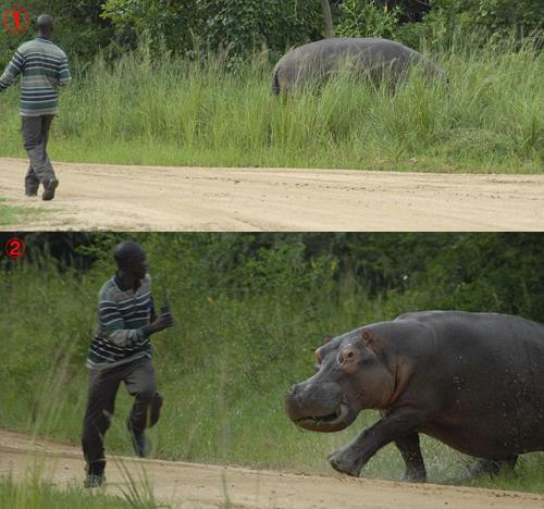 세계적으로 유명한 채식주의자들.jpg | 인스티즈