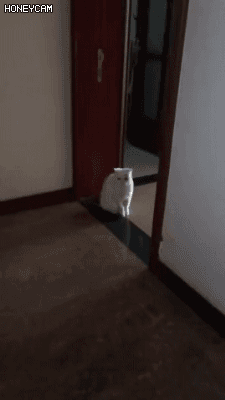 꿈에서 도망칠때 | 인스티즈