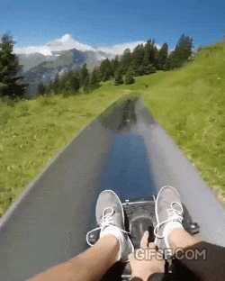 스위스에 있다는 알파인 슬라이드.gif | 인스티즈