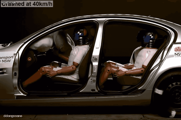 전좌석 안전벨트 해야하는 이유.gif | 인스티즈