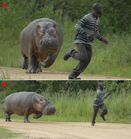 세계적으로 유명한 채식주의자들.jpg | 인스티즈