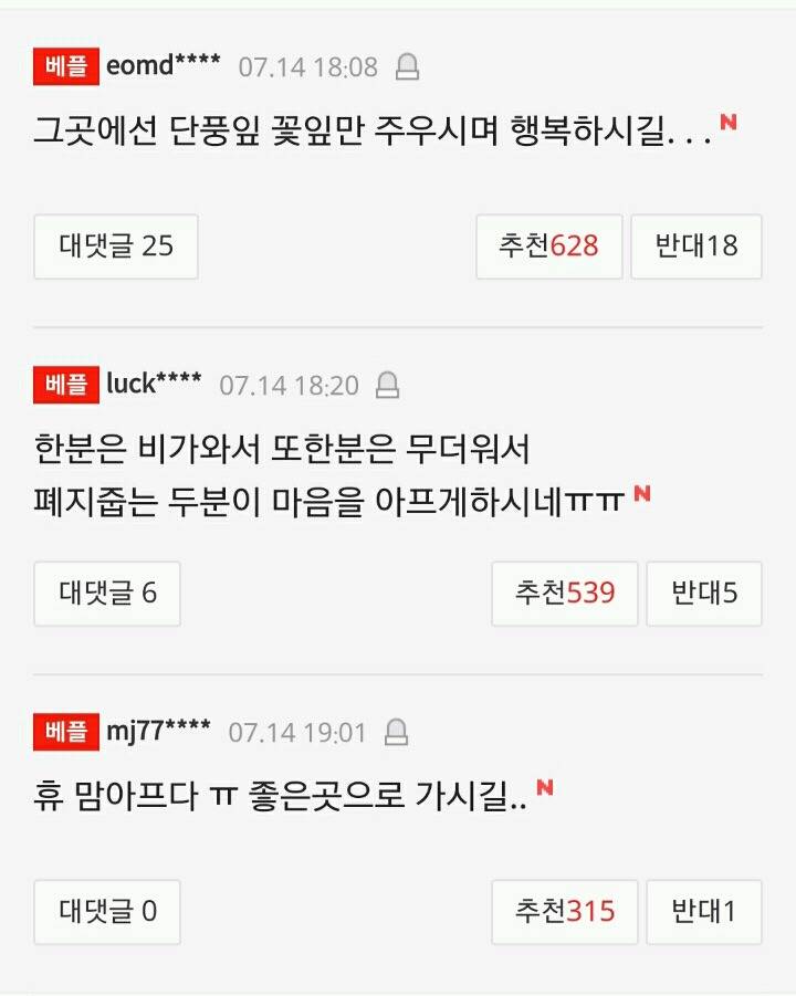 폭염 속 폐지 줍던 70대 할머니 도로서 쓰러져 숨져(종합) | 인스티즈