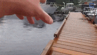 형이 거기서 왜 나와 | 인스티즈