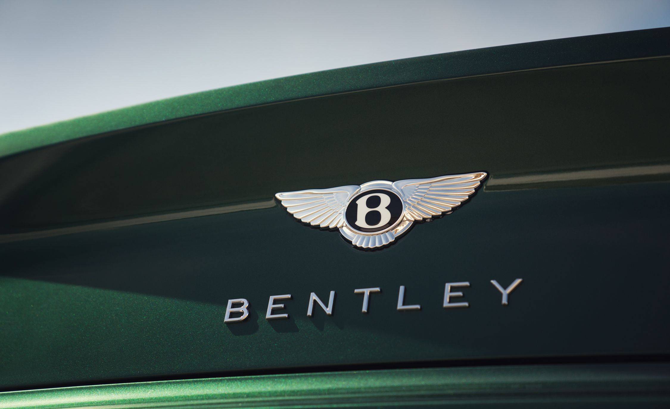 2019 벤틀리 컨티넨탈 GT [데이터주의] | 인스티즈