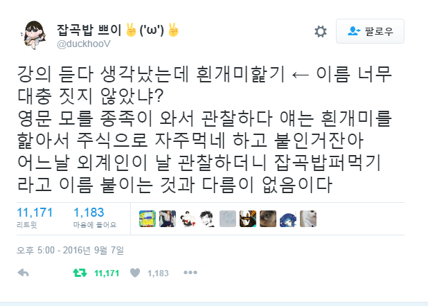 흰개미햝기 이름 너무 대충 지은거 아니니?? | 인스티즈