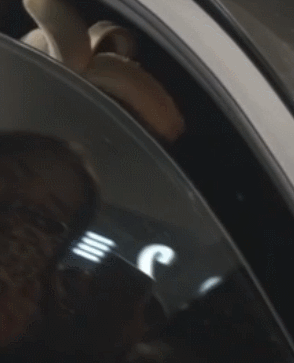 자동차 창문틈 사이로 무나하는 아이돌 | 인스티즈