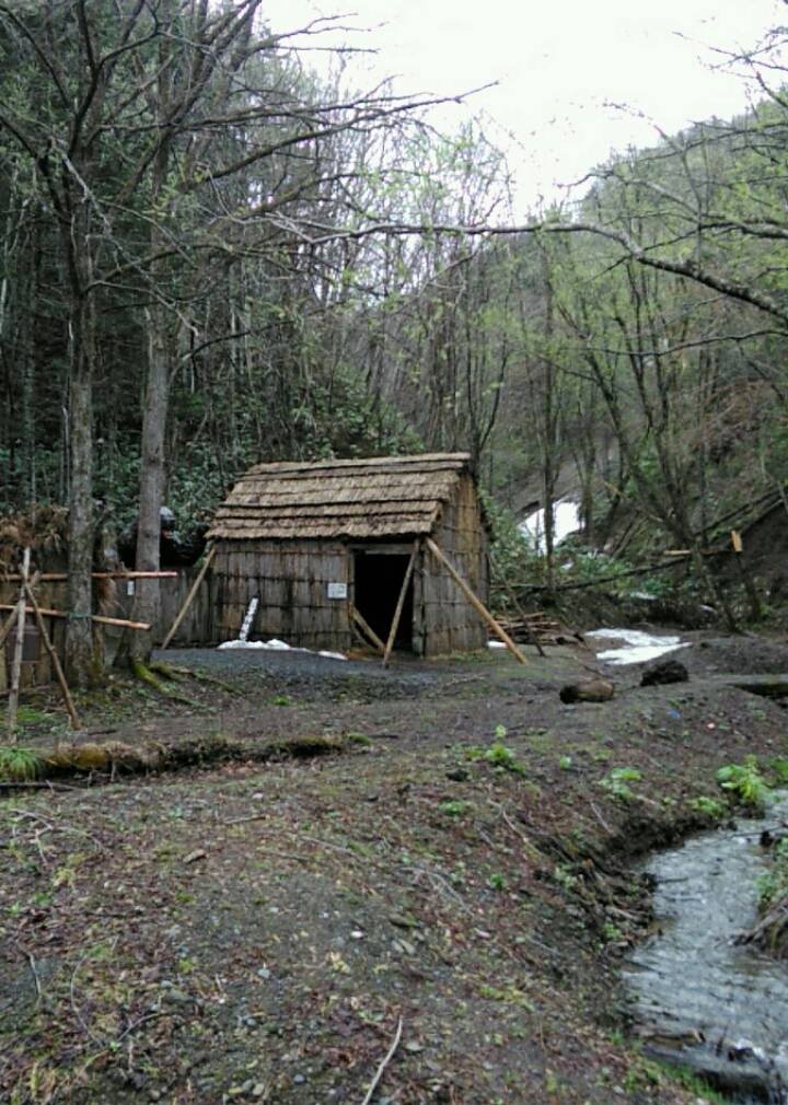 홋카이도 산케베츠 불곰 습격사건 복원지를 알아보자 | 인스티즈
