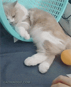 누구나 격어본 일 | 인스티즈