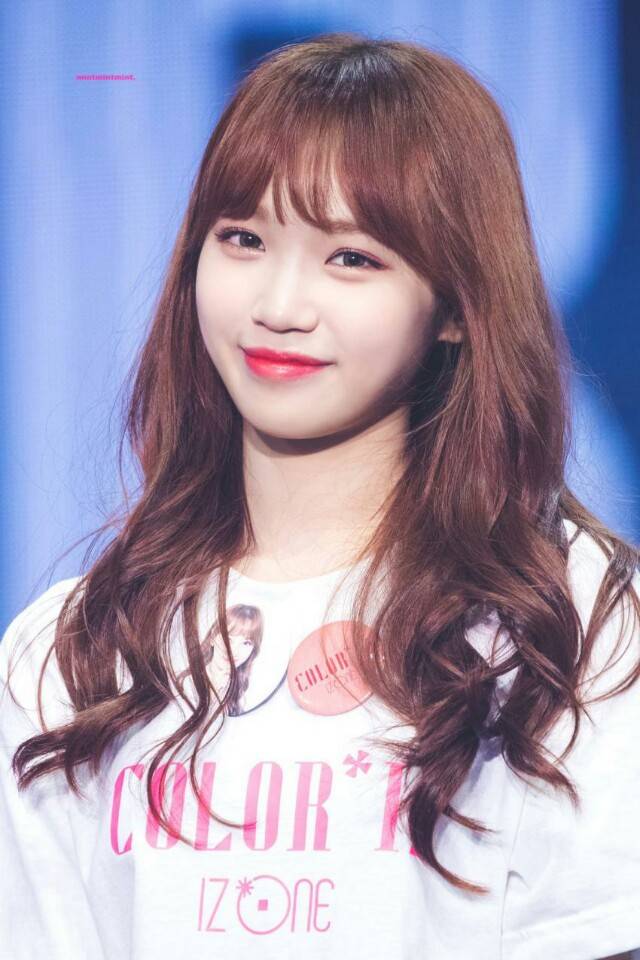 채원이 보고가세여 | 인스티즈