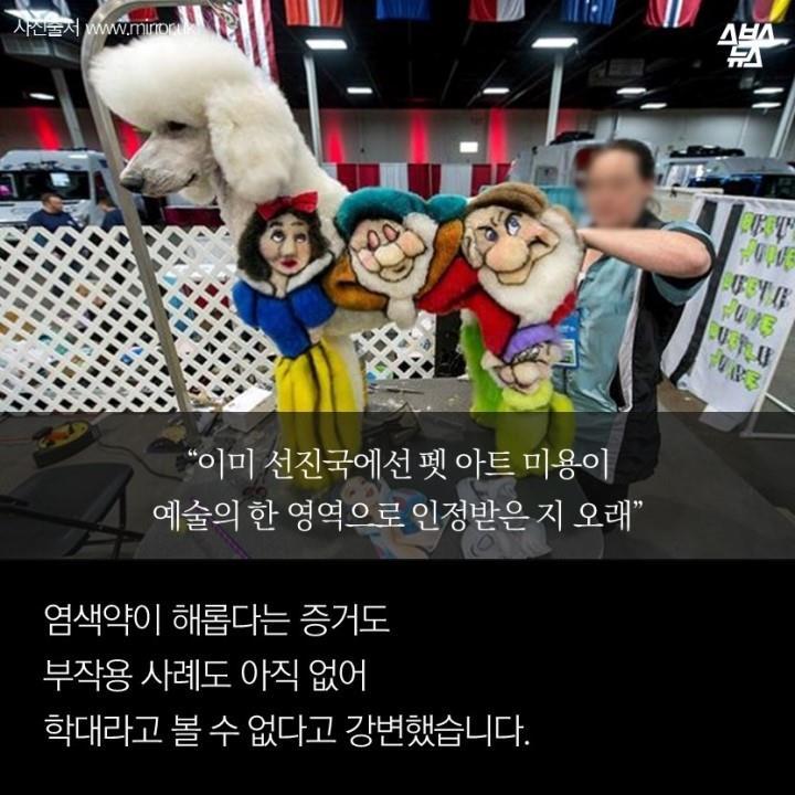 강아지가 도화지야? | 인스티즈