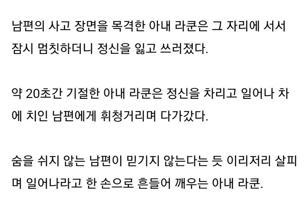 교통사고로 남편 잃어 슬퍼하는 라쿤 | 인스티즈