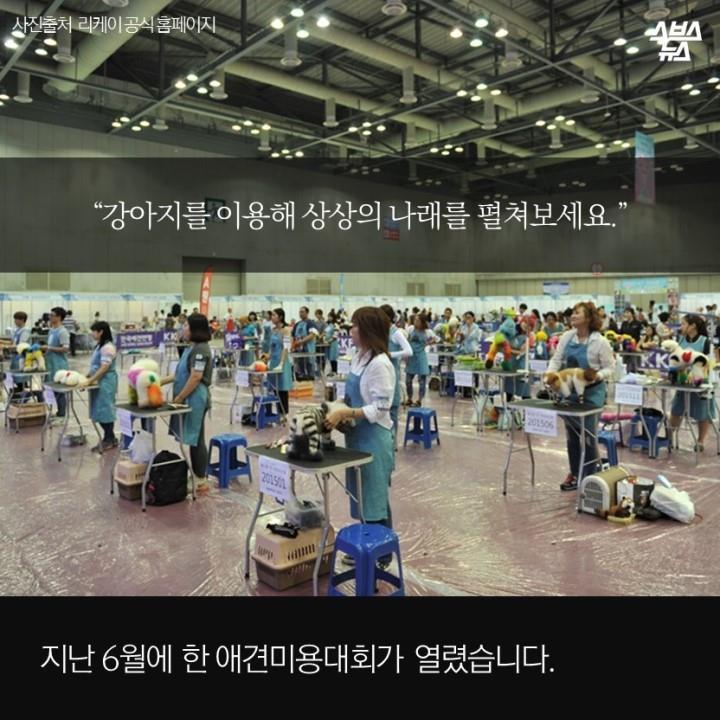 강아지가 도화지야? | 인스티즈