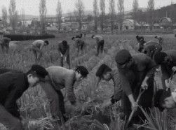 1960년대 대한민국 국민들의 생활 모습.gif | 인스티즈