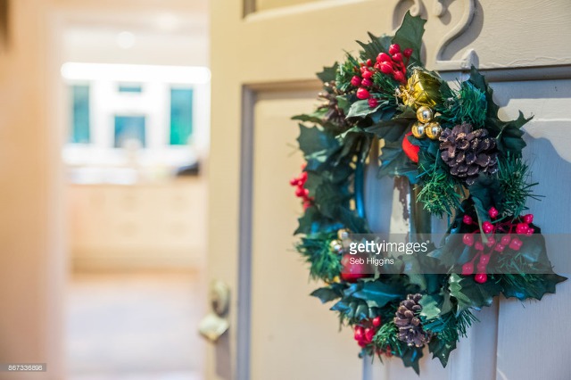 크리스마스 카드와 리스에서 자주 본 이 식물의 이름은 모다? | 인스티즈