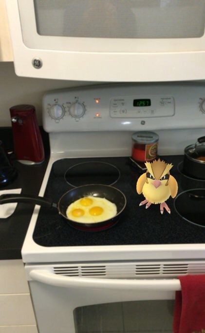 공포의 포켓몬Go...jpg | 인스티즈