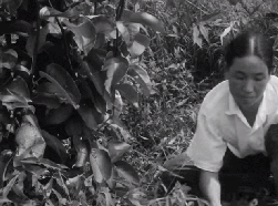 1960년대 대한민국 국민들의 생활 모습.gif | 인스티즈