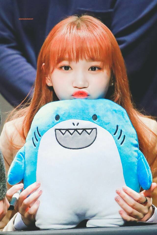 채원이 보고가세여 | 인스티즈