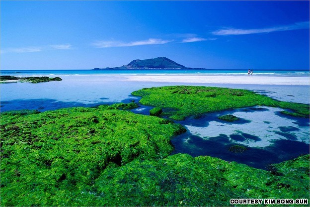 사진작가들을 매료시키는 한국에서 가장 아름다운 장소 Top40 | 인스티즈