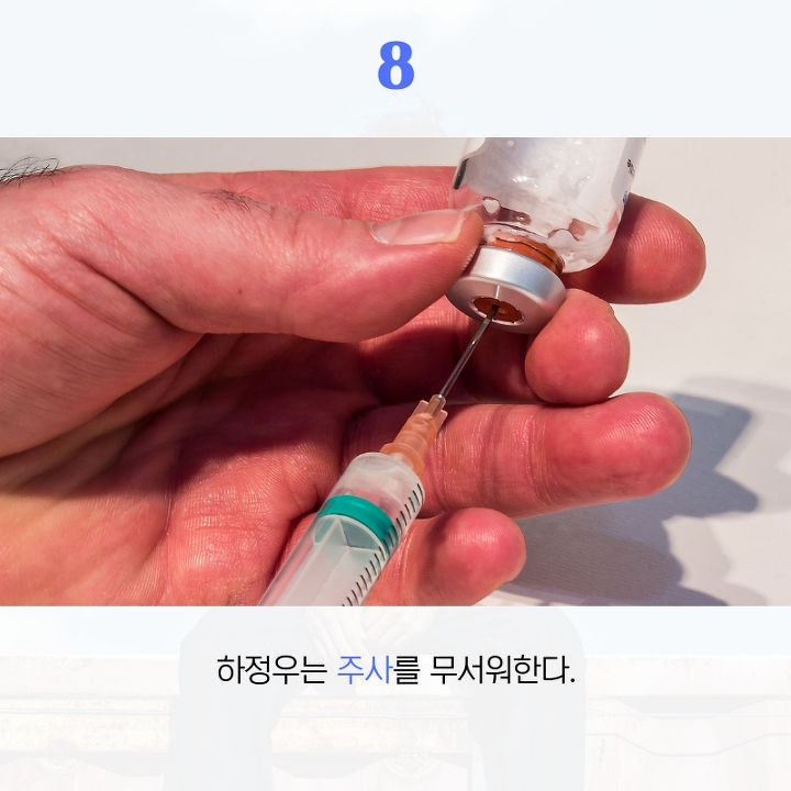 하정우에 대해 사람들이 잘 모르는 것 10가지.jpg | 인스티즈