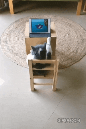 톰과 제리 감상 중 | 인스티즈