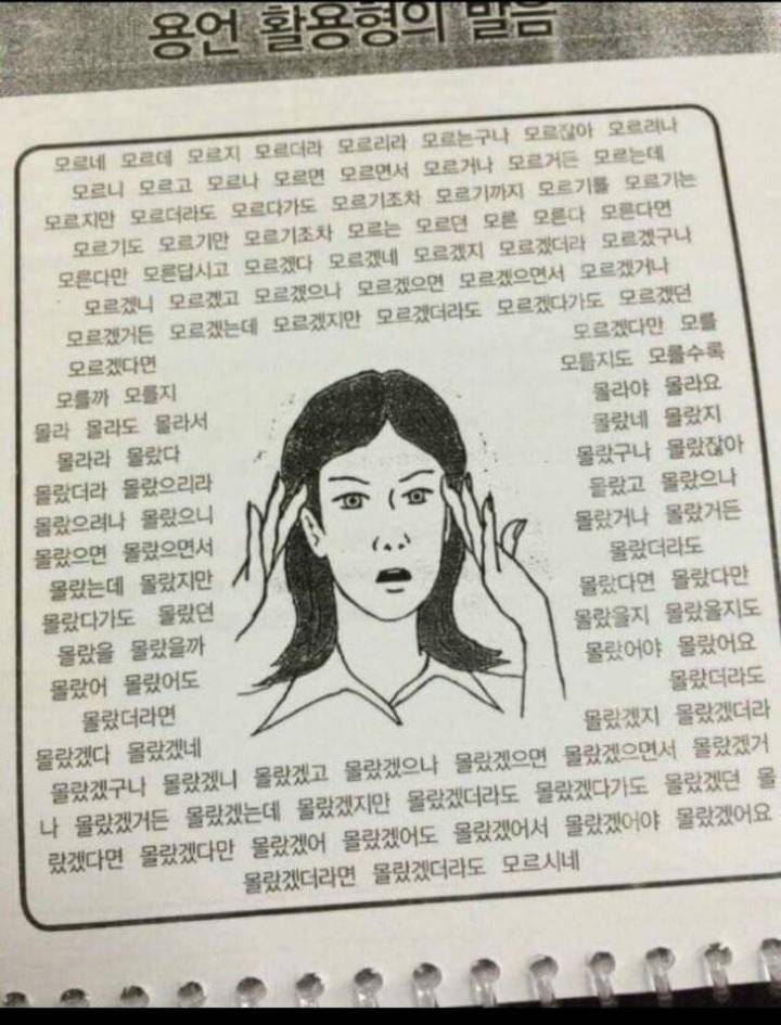 한국어 배우는 외국인들 포기 고민 구간 | 인스티즈