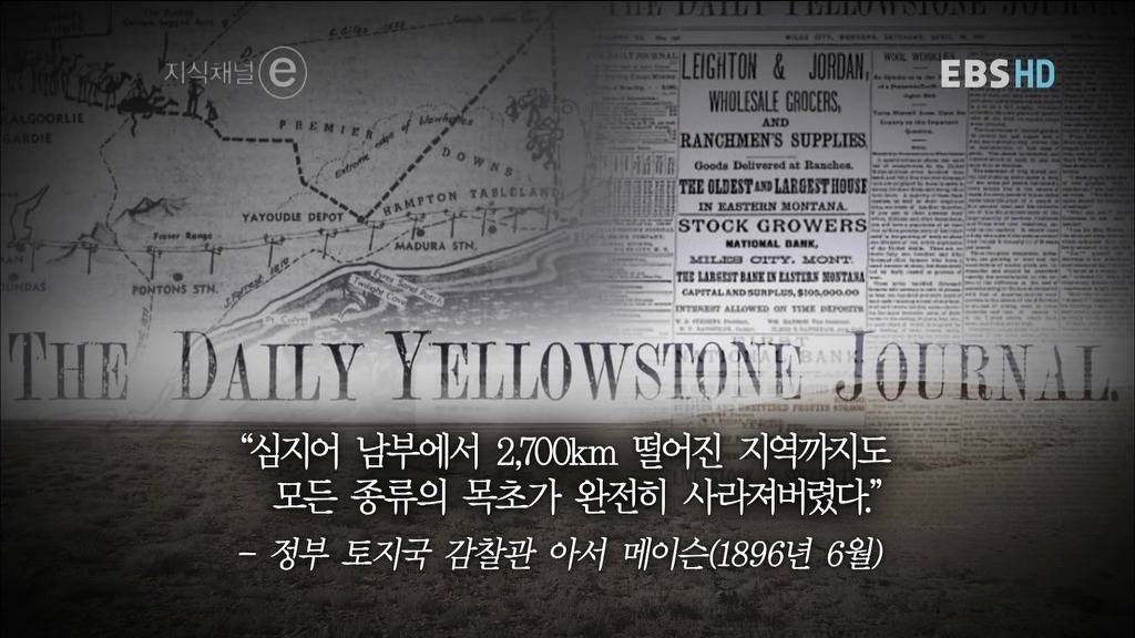 호주에서 벌어진 인간대 동물의 전쟁 | 인스티즈