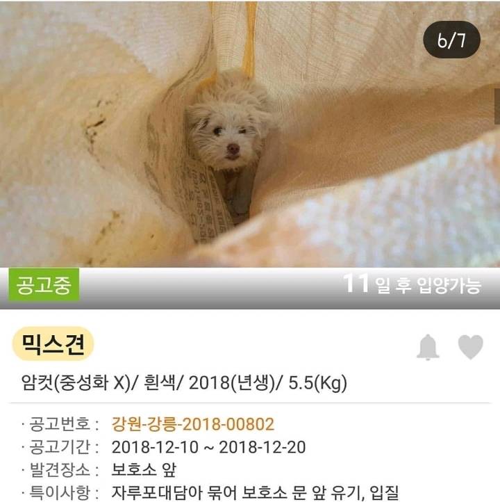 문앞에 꿈틀거리는 포대자루가 놓여있어서 열어봤더니.. | 인스티즈