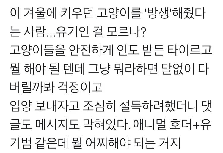 한 겨울에 키우던 고양이들을 방생해줬다는 사람 | 인스티즈