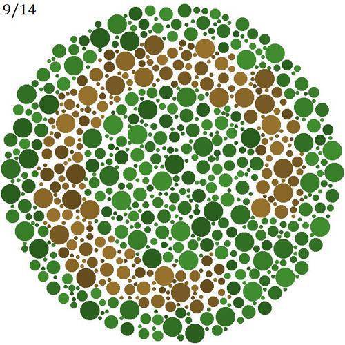 적녹색약 테스트 : 녹색 바탕의 붉은 고리가 끊어진 부분을 찾으시오 | 인스티즈