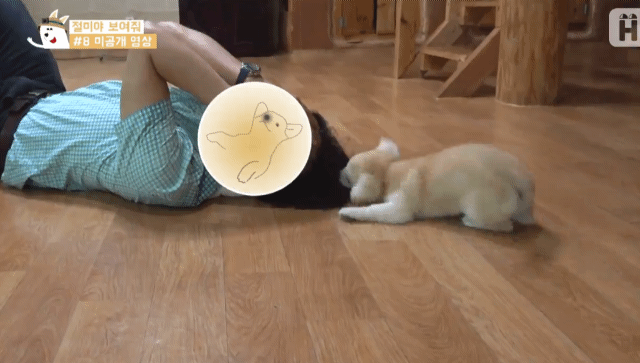 아저씨가 너무 좋은 짱절미.gif | 인스티즈