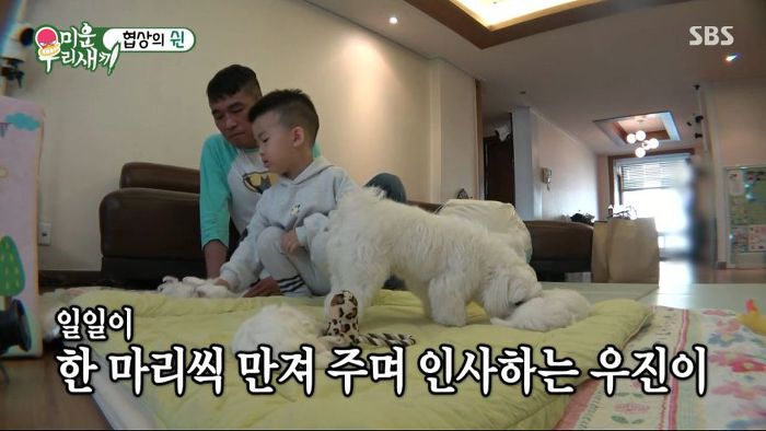 강아지 한마리 분양은 문다고 절대 분양안해주는 김건모 조카ㅋㅋㅋ .jpg | 인스티즈