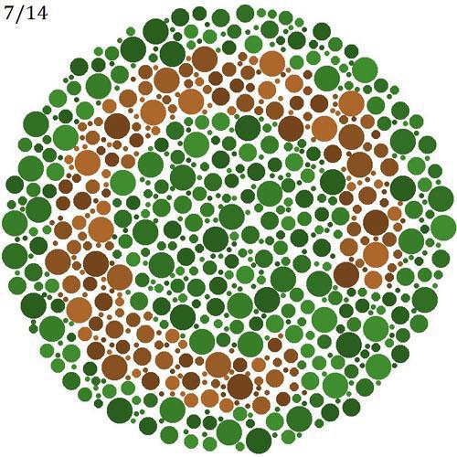 적녹색약 테스트 : 녹색 바탕의 붉은 고리가 끊어진 부분을 찾으시오 | 인스티즈