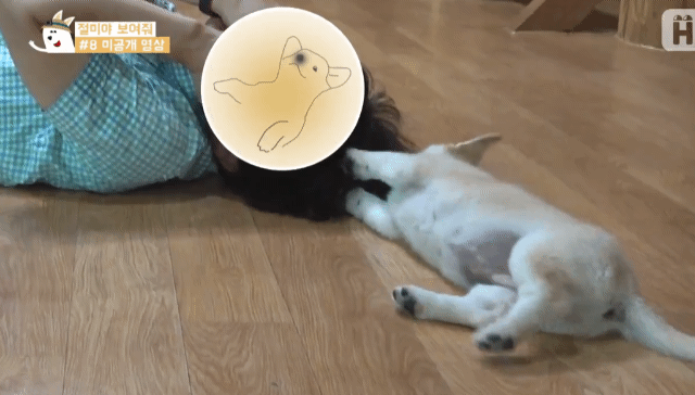 아저씨가 너무 좋은 짱절미.gif | 인스티즈