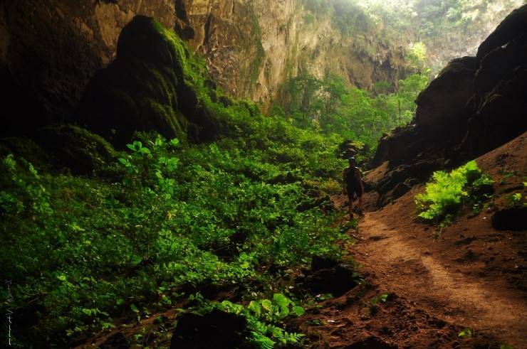 상상속의 동물이 살고 있을것 같은 세계 최대의 동굴(베트남 항손둥 동굴).jpg | 인스티즈