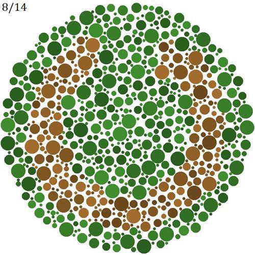 적녹색약 테스트 : 녹색 바탕의 붉은 고리가 끊어진 부분을 찾으시오 | 인스티즈
