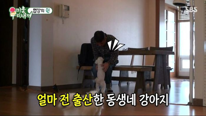 강아지 한마리 분양은 문다고 절대 분양안해주는 김건모 조카ㅋㅋㅋ .jpg | 인스티즈