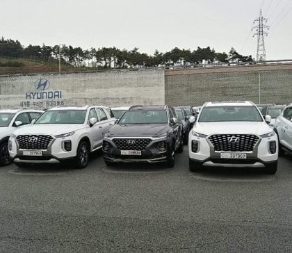 팰리세이드 vs 싼타페 크기차이 | 인스티즈