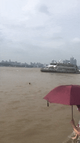 사람이 물에 빠졌어요.gif | 인스티즈