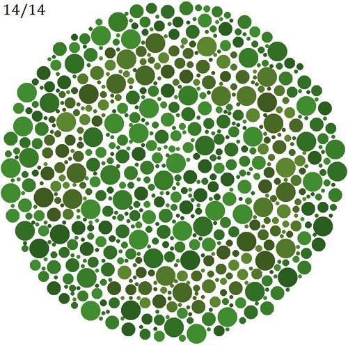 적녹색약 테스트 : 녹색 바탕의 붉은 고리가 끊어진 부분을 찾으시오 | 인스티즈