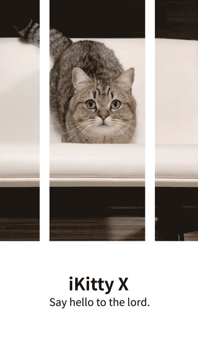 핸드폰으로 보면 큰일나는 짤.gif | 인스티즈