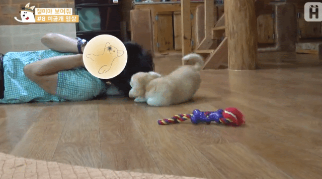 아저씨가 너무 좋은 짱절미.gif | 인스티즈