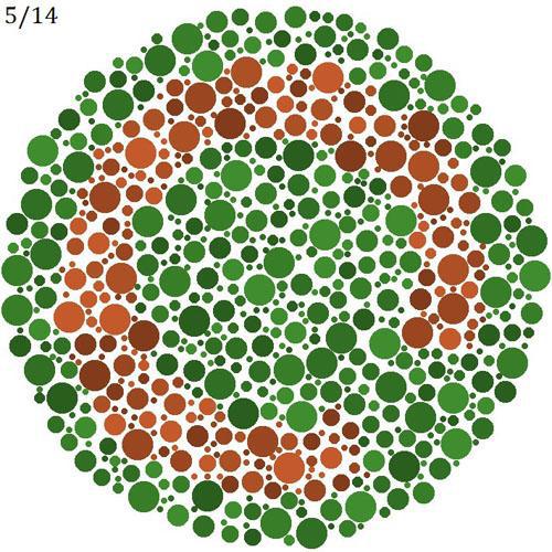 적녹색약 테스트 : 녹색 바탕의 붉은 고리가 끊어진 부분을 찾으시오 | 인스티즈