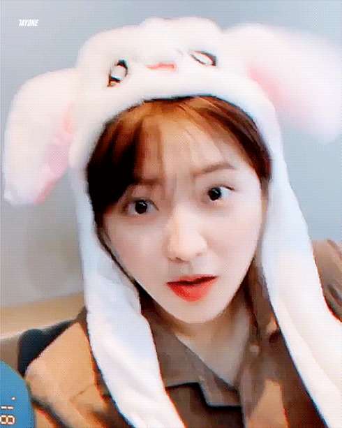 토끼모자 예리.gif | 인스티즈